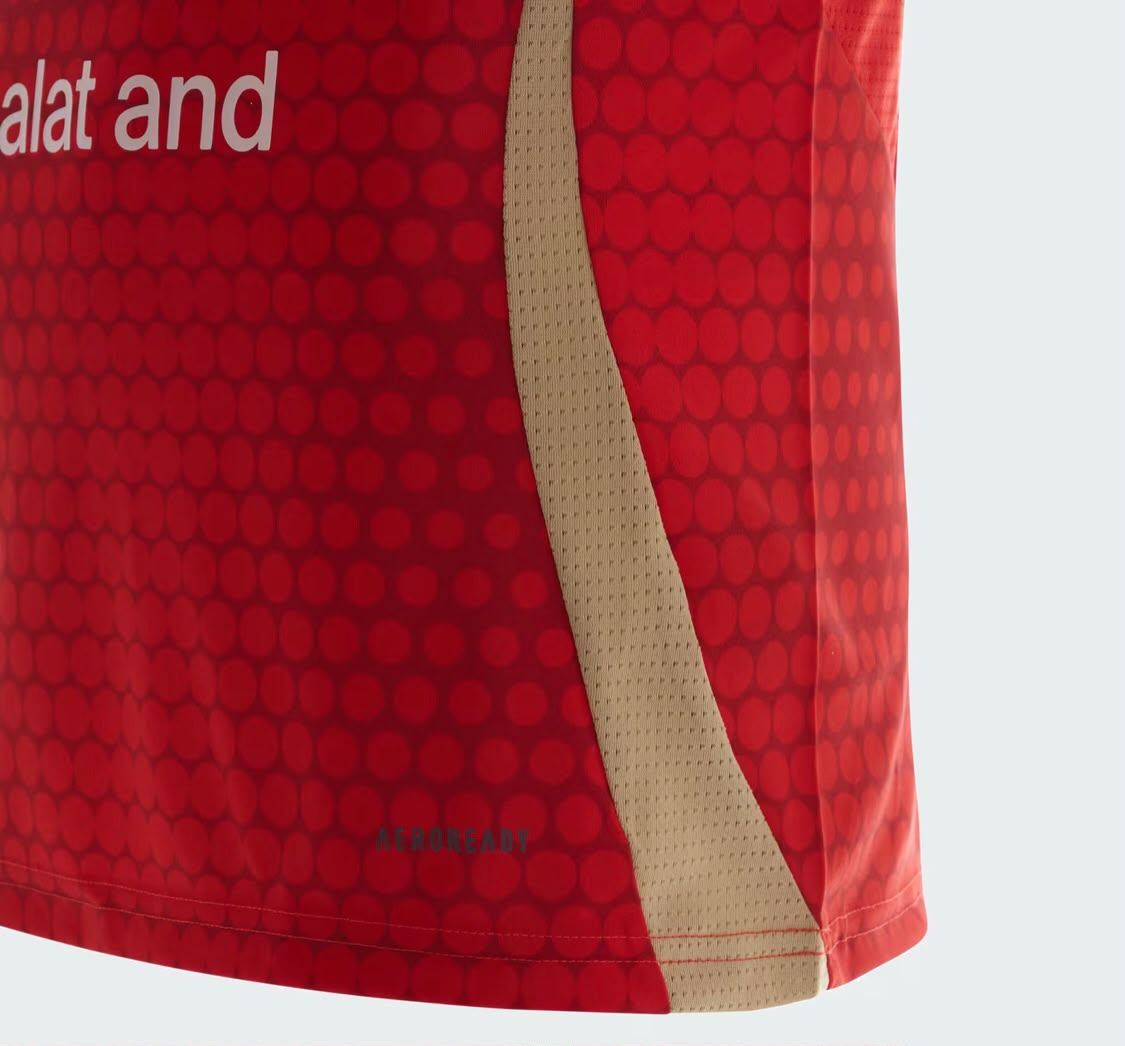 Al Ahly 2024 Home Jersey – Men's