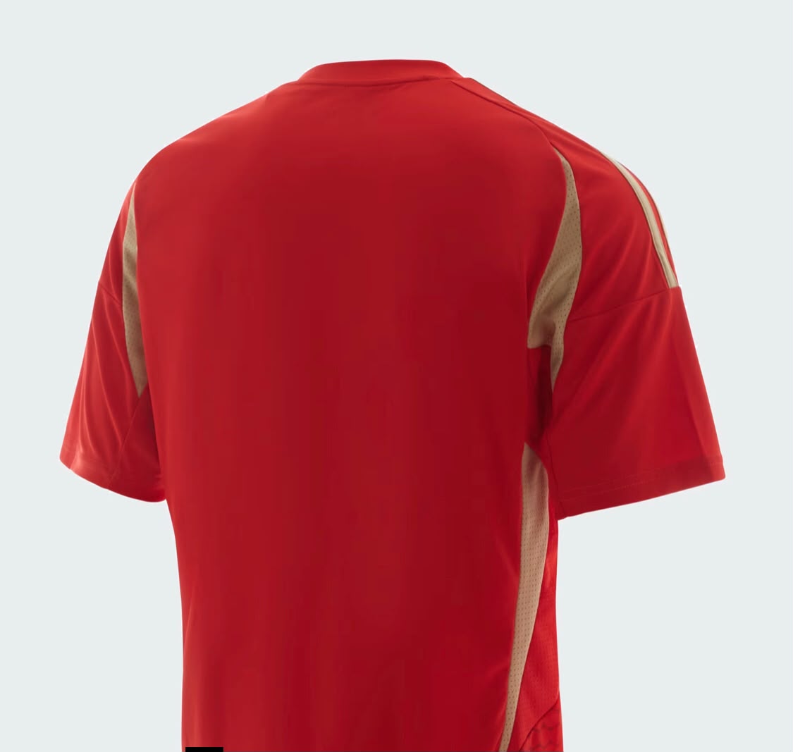 Al Ahly 2024 Home Jersey – Men's