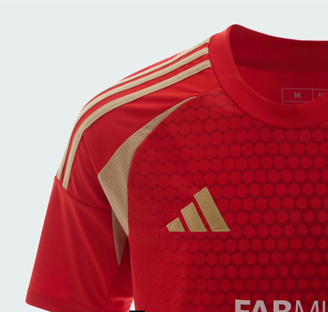 Al Ahly 2024 Home Jersey – Men's
